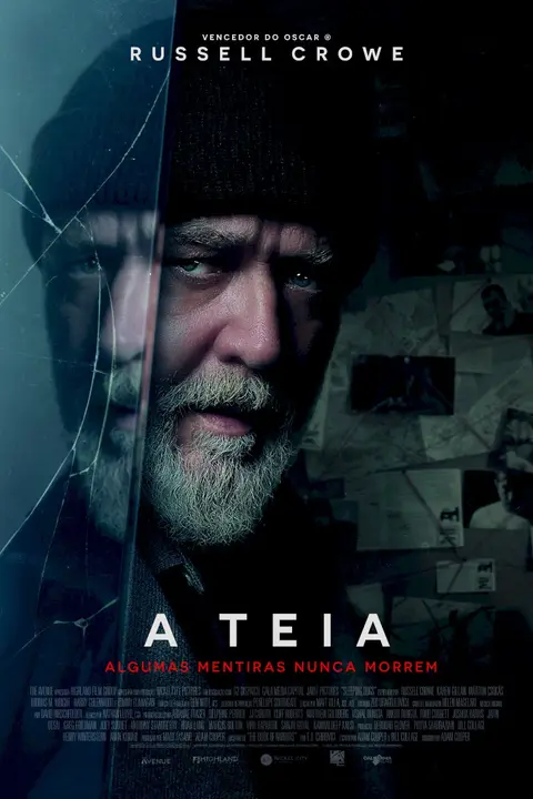 Cartaz de A Teia