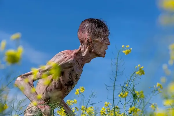 Imagem 6 do filme