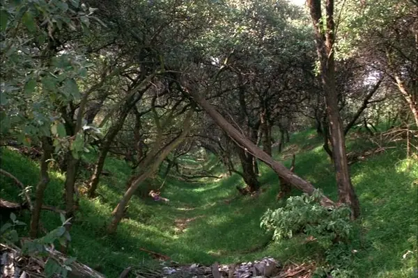 Imagem 10 do filme