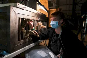 Jurassic World: Domínio