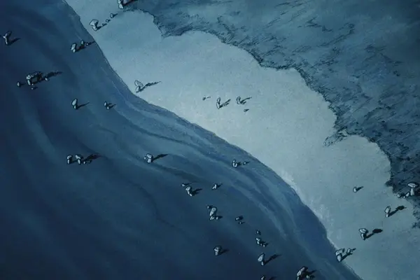 Imagem 20 do filme