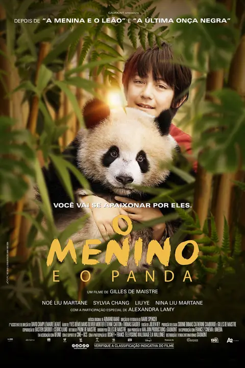 Cartaz de O Menino e o Panda