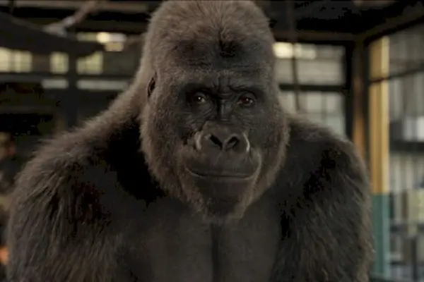 Imagem 11 do filme
