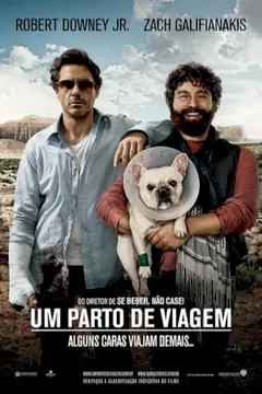 Um Parto de Viagem