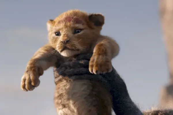 Imagem 7 do filme