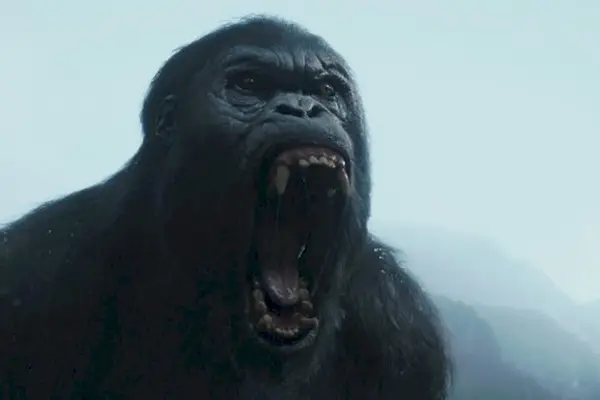 Imagem 5 do filme