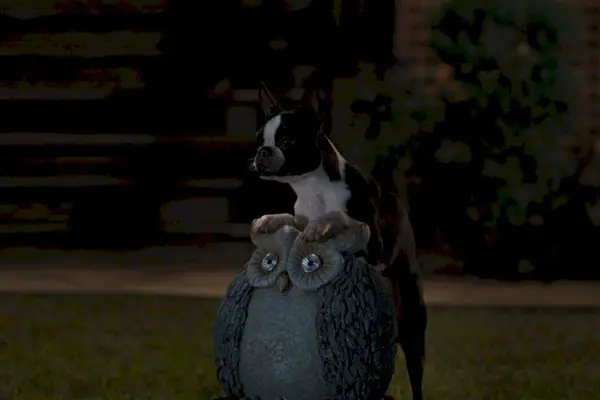 Imagem 10 do filme