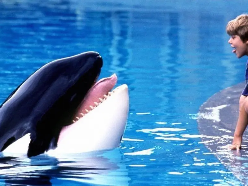 Free Willy: Warner Bros. prepara remake do clássico com produção dos irmãos Russo