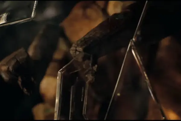 Imagem 19 do filme