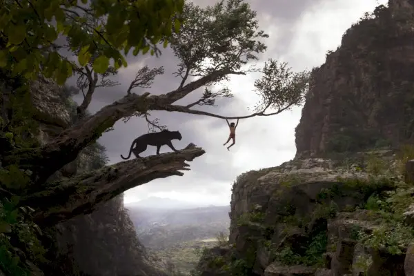 Imagem 3 do filme