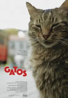 Gatos
