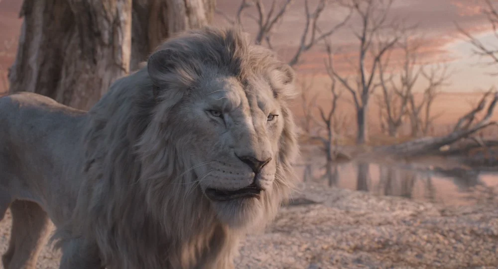 Imagem oficial do live-action da Disney