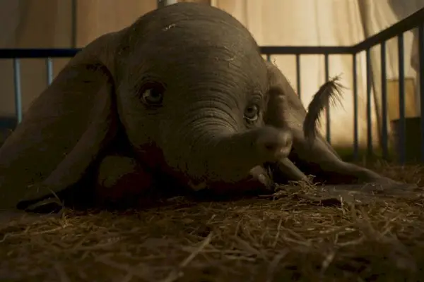 Imagem 11 do filme