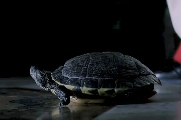 Imagem 19 do filme