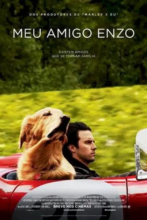 Cartaz de Meu Amigo Enzo