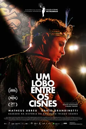 Poster do filme Um Lobo entre os Cisnes